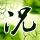 由易烊千玺备份的精彩世界